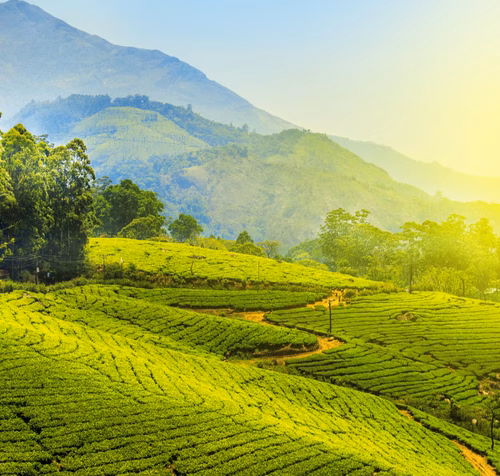 Munnar
